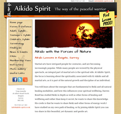 Aikido Lessons