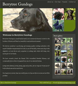 Berrytree Gundogs