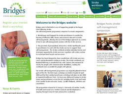 Bridges Stroke Self Management